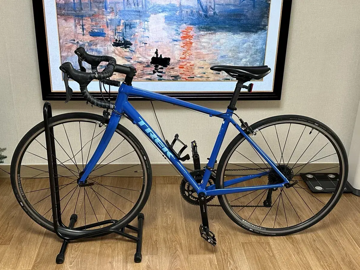 TREK 도마닉 al2